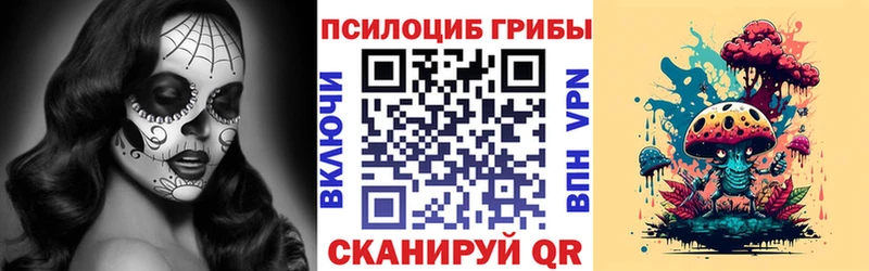 Галлюциногенные грибы Psilocybe  Кологрив 